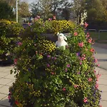 Guest house Hotel-pension Seeblick