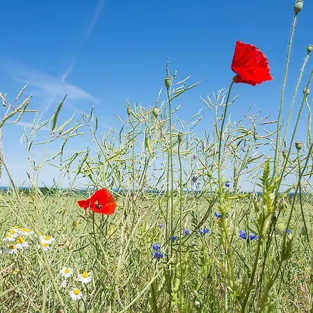 Hotel-pension Seeblick 3*