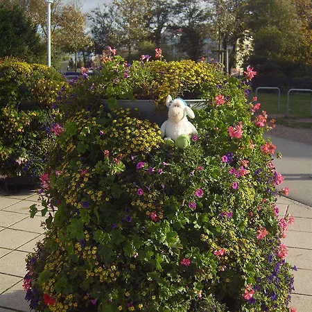 게스트하우스 Hotel-pension Seeblick